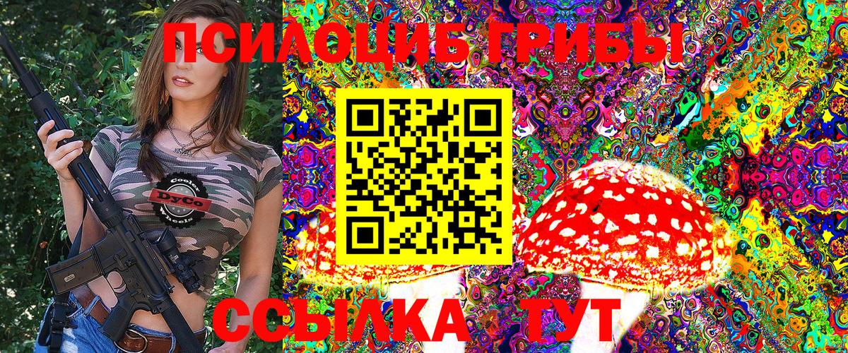 Галлюциногенные грибы Psilocybe Гагарин