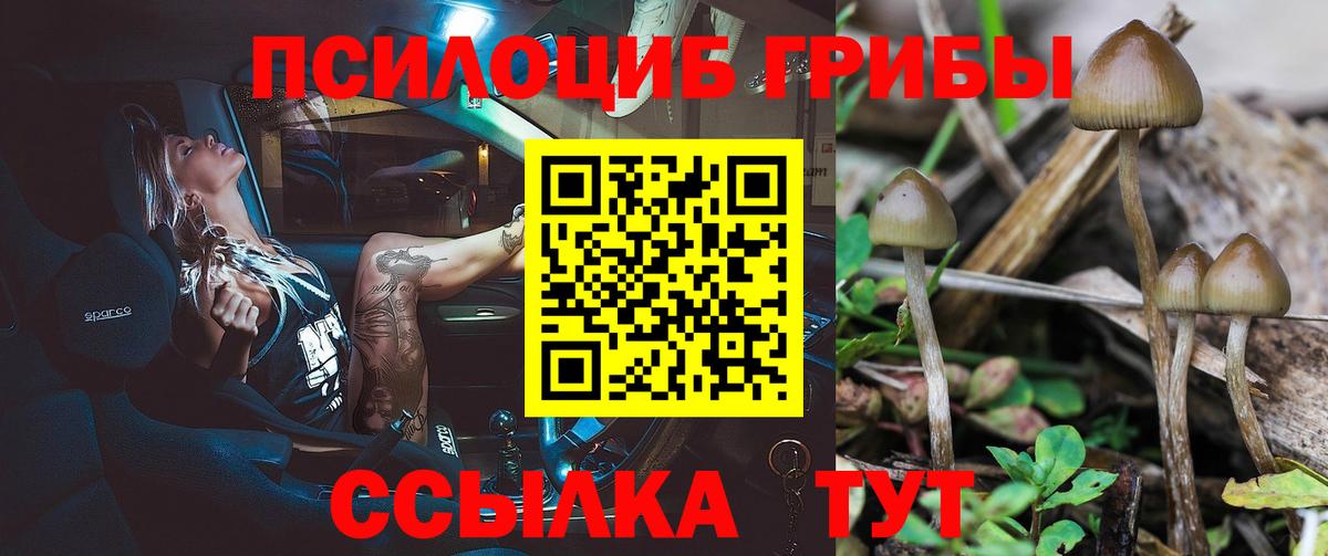 Псилоцибиновые грибы MAGIC MUSHROOMS  Вход с VPN  Гагарин 